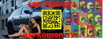 прущие грибы Малгобек