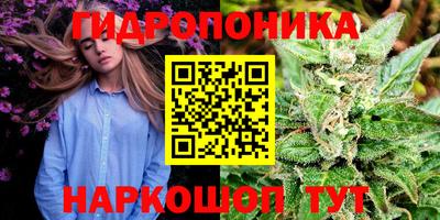 прущие грибы Малгобек