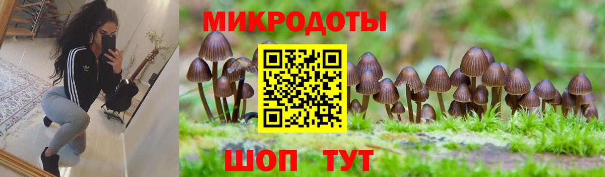 Псилоцибиновые грибы MAGIC MUSHROOMS  Вход с VPN  Псилоцибиновые грибы MAGIC MUSHROOMS  Тихвин 